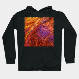 Abstract curves pattern Hoodie